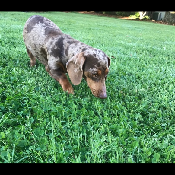 Welcome! - Picture 3 of 5